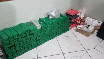 Polícia apreendeu 144 quilos de maconha em chácara de Limeira — Foto: 10º Baep/Divulgação.