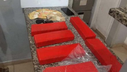 Tijolos de maconha foram apreendidos no Distrito de Jundiapeba, em Mogi das Cruzes — Foto: Polícia Militar/Divulgação.