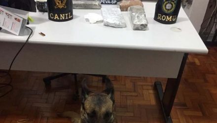 Drogas foram encontradas em tambor enterrado em Itapeva (SP) — Foto: Polícia Civil/Divulgação.