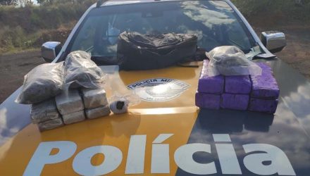 Entorpecentes estavam na bagagem da mulher de 23 anos — Foto: Polícia Rodoviária.