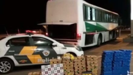Drogas encontradas em ônibus de turismo em Cordeirópolis — Foto: Reprodução/EPTV.