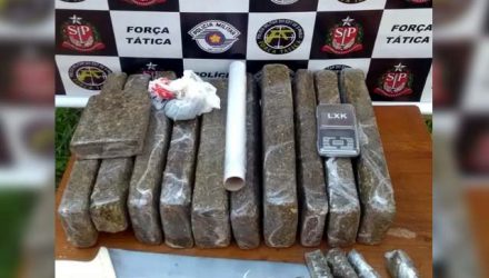 Uma mulher foi presa em flagrante por guardar cerca de 11 quilos de maconha em casa, no Bairro João Crevelaro, em Birigui. Foto: DIVULGAÇÃO