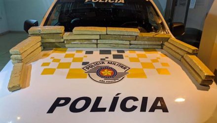 Passageira de ônibus foi detida com quase 17 kg de maconha, em Presidente Epitácio — Foto: Polícia Rodoviária.