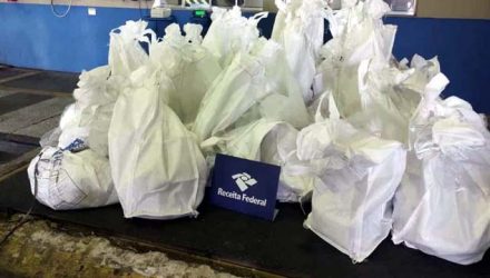 Droga foi encontrada dentro de carga de goiabada no Porto de Santos, SP — Foto: Divulgação/Receita Federal