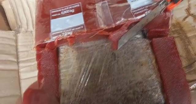 Droga foi encontrada dentro de carga de goiabada no Porto de Santos, SP — Foto: Divulgação/Receita Federal