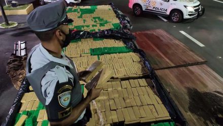 Ao todo foram apreendidos mais de 1.8 mil tijolos de maconha — Foto: Polícia Rodoviária / Divulgação.