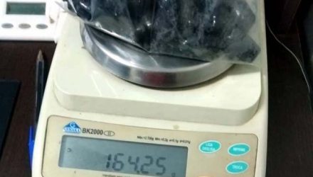 Foram apreendidas 10 porções de cocaína e outras 16 de maconha que, depois de pesada totalizaram 164 gramas, tudo escondido no anus da acusada. Foto: DIVULGAÇÃO