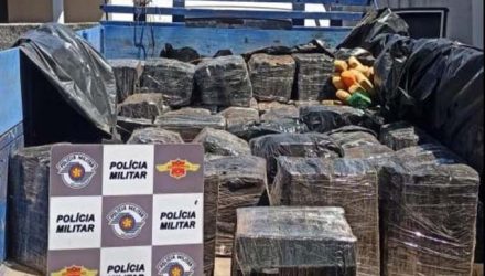 Droga foi apreendida em carroceria de caminhão parado em rodovia de Cosmorama — Foto: Arquivo Pessoal