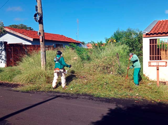 Além de retirar lixo e objetos desses locais, as equipes estão aparando a vegetação rasteira e retirando a vegetação morta. Foto: Secom/Prefeitura