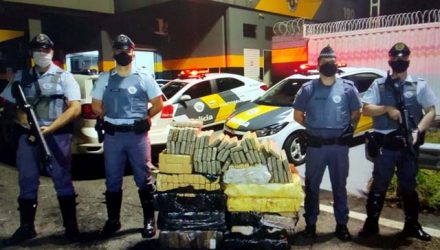 Foram apreendidos um total de 317 tijolos de maconha (Cannabis Sativa), que pesaram  239 kg. Foto: PMRv