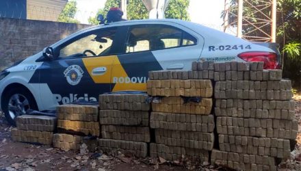 Os 530 tabletes de maconha foram apreendidos na cidade de Penápolis. Foto: PMRv/Divulgação