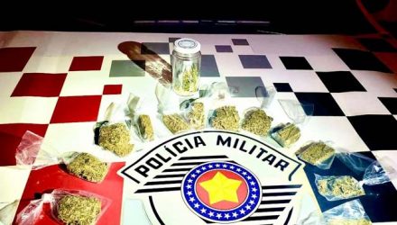 trafico_onibus_pbto1