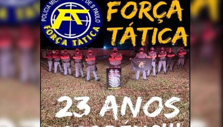 forca_tatica_niver1