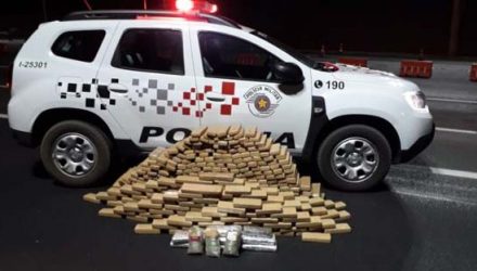 Polícia Militar apreendeu 357 tabletes de maconha e três tabletes de haxixe — Foto: Polícia Militar