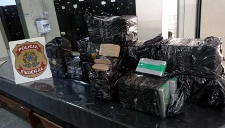 Droga foi apreendida e levada à delegacia da Polícia Federal de Rio Preto — Foto: Polícia Federal de Rio Preto/Divulgação