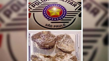 Foram apreendidas 4 porções de maconha, que pesaram 11,4 gramas. Foto: PM/Divulgação