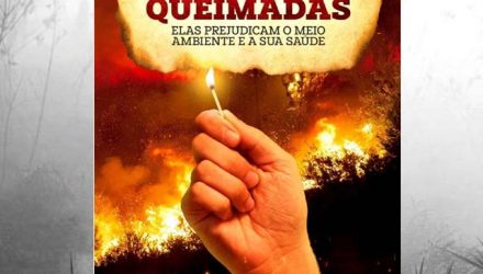 queimadas1