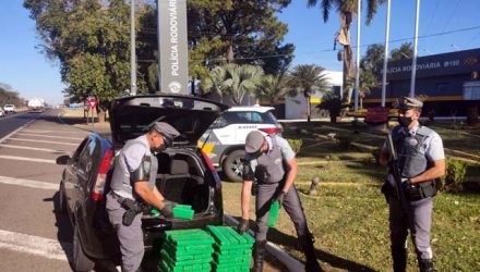 Morador de Três Lagoas/MS, de 25 anos foi preso com 219 tabletes de maconha. Foto: PMRv/Divulgação