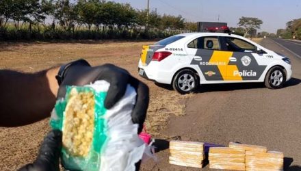 Trio foi preso em ônibus com tabletes de maconha e pasta base de cocaína. Foto: PMRv