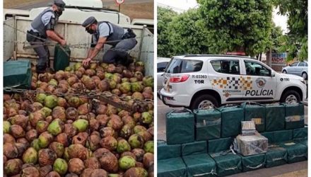 Mais de 700 quilos de cocaína foram encontrados por equipes do Tático Ostensivo Rodoviário — Foto: Divulgação/TOR