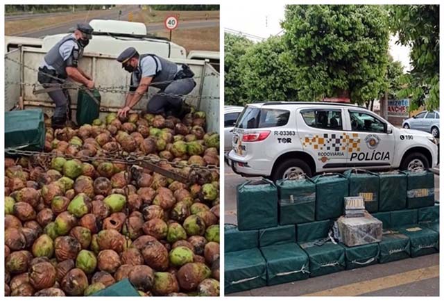 Mais de 700 quilos de cocaína foram encontrados por equipes do Tático Ostensivo Rodoviário — Foto: Divulgação/TOR