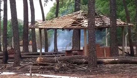 incendio_ilha1