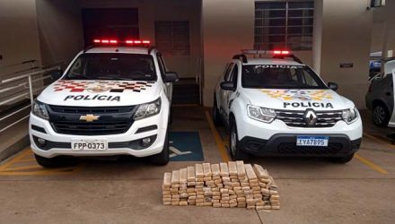 Policiais apreenderam tabletes de maconha em Fernandópolis (SP) — Foto: Polícia Rodoviária/Divulgação