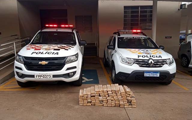 Policiais apreenderam tabletes de maconha em Fernandópolis (SP) — Foto: Polícia Rodoviária/Divulgação