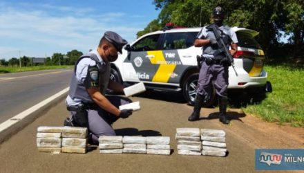 Dupla foi presa com 31 tijolos de maconha. Foto: PMRv/Divulgação