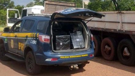 A apreensão gera um prejuízo de 44 milhões de reais para o crime organizado. Foto: DIVULGAÇÃO
