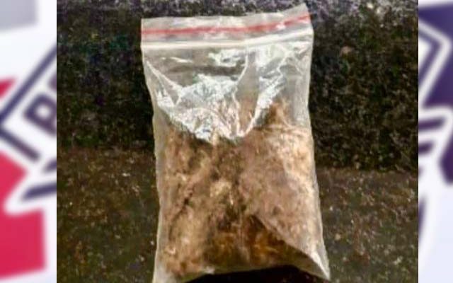 Foi apreendido um invólucro plástico contendo 11 gramas de maconha (Cannabis Sativa). Foto: PM/Divulgação