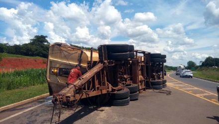 Segundo semirreboque da carreta bitrem carregada com farelo de soja tombou na BR 262. Foto: Albecyr Pedro