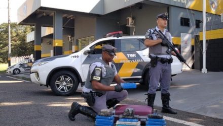 A moradora do estado do Pará, B. C. S. B., de 22 anos, foi presa com 17 tabletes de maconha. Foto: PMRv/Divulgação