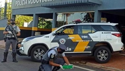 Jovem foi flagrado em um ônibus com 05 tabletes e uma porção grande  de maconha (Cannabis Sativa). Foto: PMRv/Divulgação