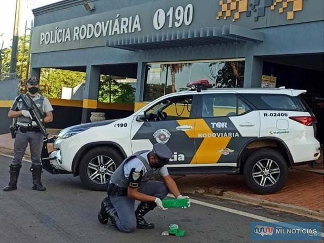 Jovem foi flagrado em um ônibus com 05 tabletes e uma porção grande de maconha (Cannabis Sativa). Foto: PMRv/Divulgação