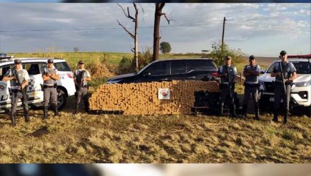 Caminhonete de luxo transportava mais de 1 tonelada de maconha — Foto: Polícia Militar Rodoviária