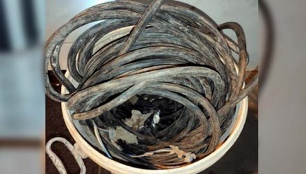 Foram apreendidos 70 metros de fios elétricos, 01 bicicleta tipo loba N⁰ OG33380 e 01 balde de cor branca. Foto: PM/Divulgação