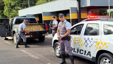 Operação foi realizada na Rodovia Euclides da Cunha em Tanabi — Foto: Polícia Rodoviária Estadual/Divulgação