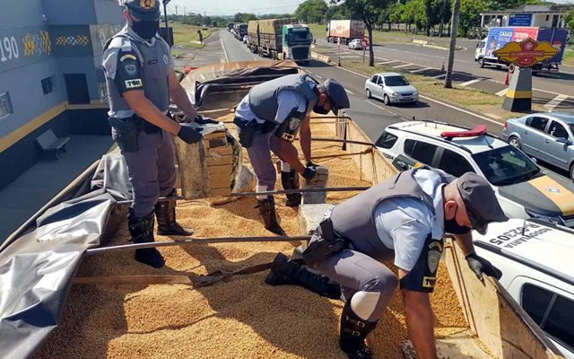 Fardos de maconha estavam escondidos em meio à carga de grãos de soja — Foto: Polícia Militar Rodoviária