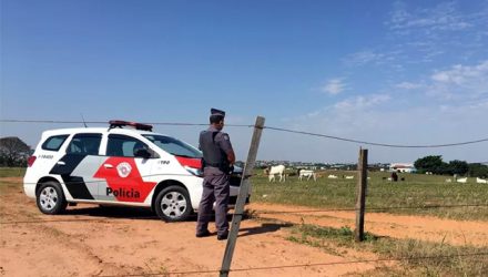 Acidente foi em um aeródromo particular em Álvares Machado (SP) — Foto: Arquivo/g1