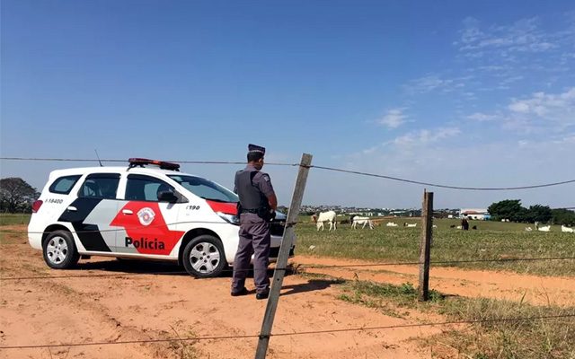 Acidente foi em um aeródromo particular em Álvares Machado (SP) — Foto: Arquivo/g1