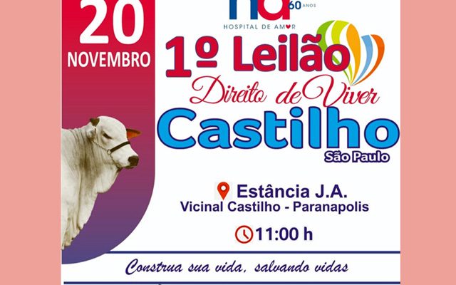 leilao3