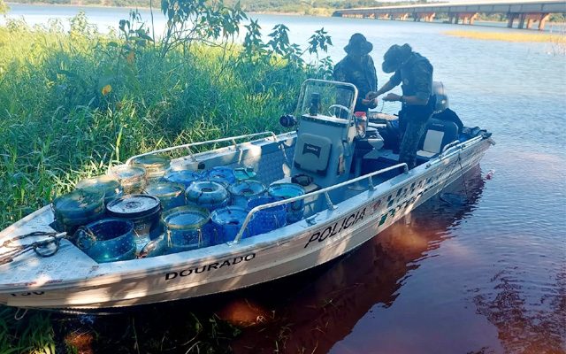 Objetos usados para a captura de camarões foram apreendidos em Nantes (SP) — Foto: Polícia Militar Ambiental