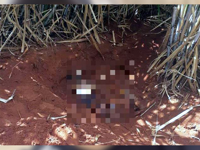 Local onde o corpo do policial aposentado foi encontrado, em um canavial na cidade de Indiaporã (Divulgação)