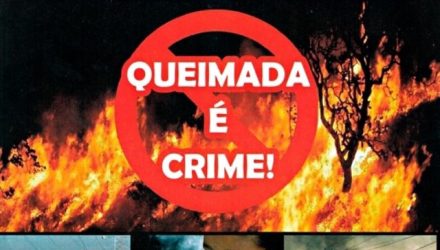 queimadas1