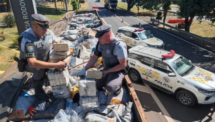 Polícia encontrou a droga após vistoriar carreta em Araçatuba — Foto: Polícia Rodoviária/Divulgação