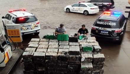 Mais de cinco toneladas de maconha foram apreendidas em Estrela do Norte (SP) — Foto: Polícia Rodoviária