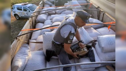 Motorista é preso transportando maconha em rodovia de Nhandeara (SP) — Foto: Polícia Militar Rodoviária/Divulgação