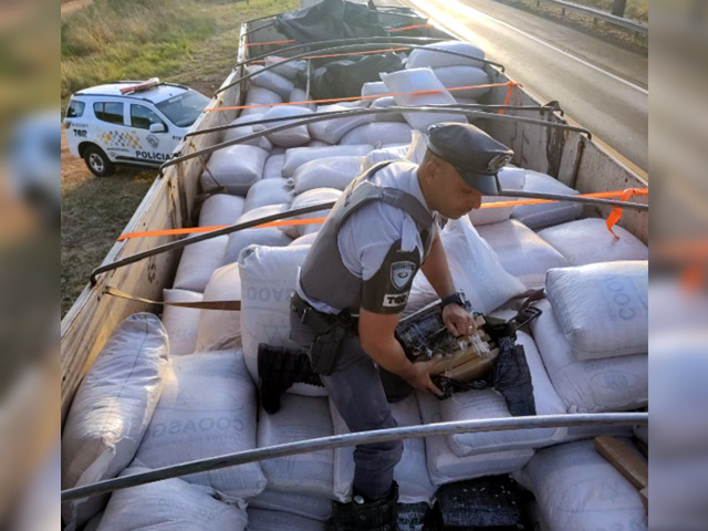 Motorista é preso transportando maconha em rodovia de Nhandeara (SP) — Foto: Polícia Militar Rodoviária/Divulgação