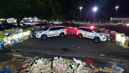 Fardos da droga estavam escondidos em meio a carga de papelão. Foto: PMRv